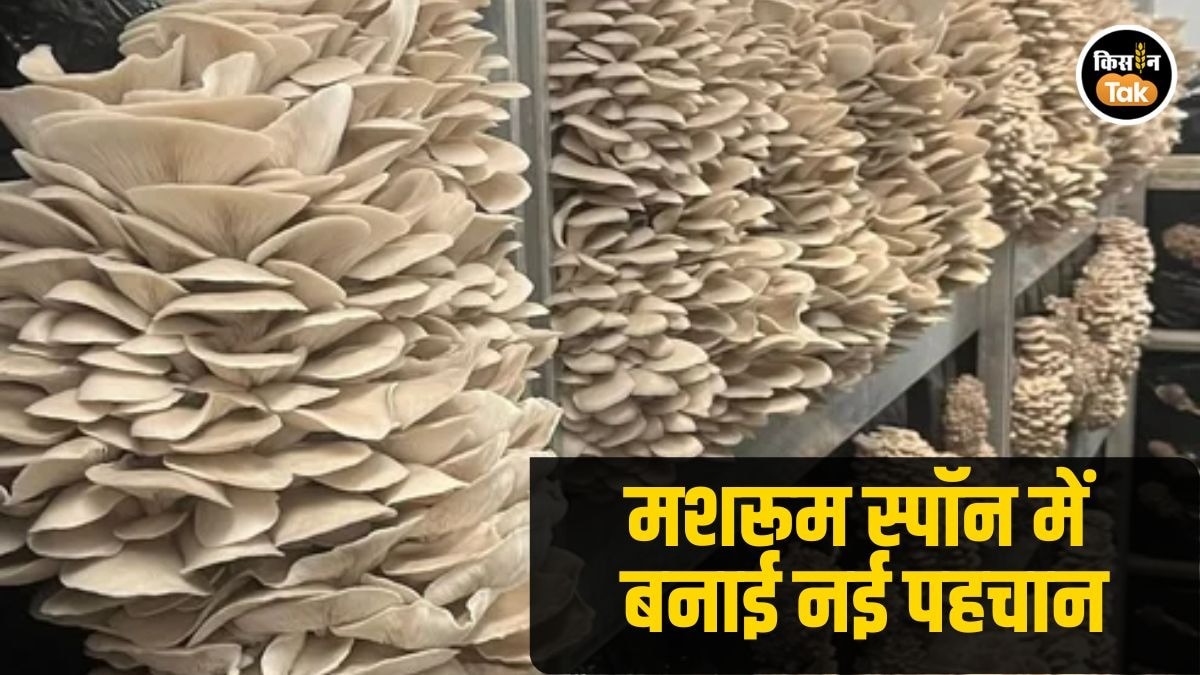 शंकर मीणा ने बदल दी राजस्थान की खेती की कहानी