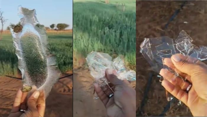 कड़ाके की सर्दी का कहर