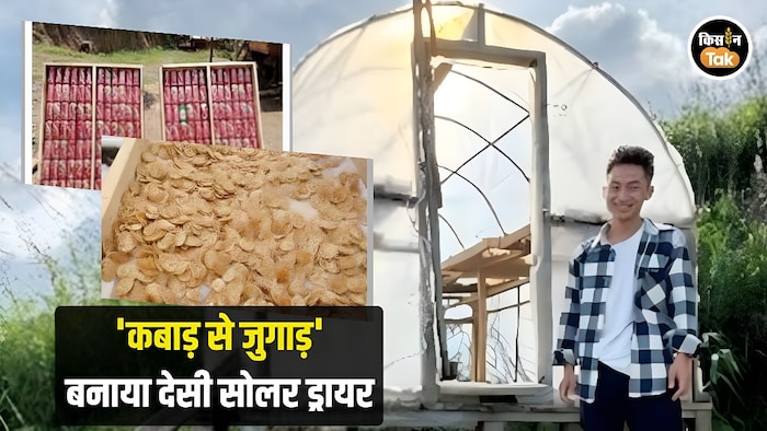 Low-Cost Solar Dryer