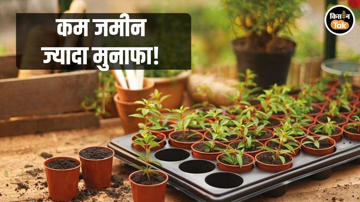 नर्सरी लगाने पर सब्सिडी