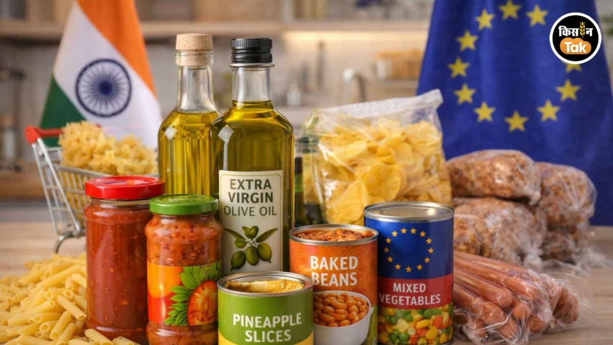 Olive Oil Import Duty