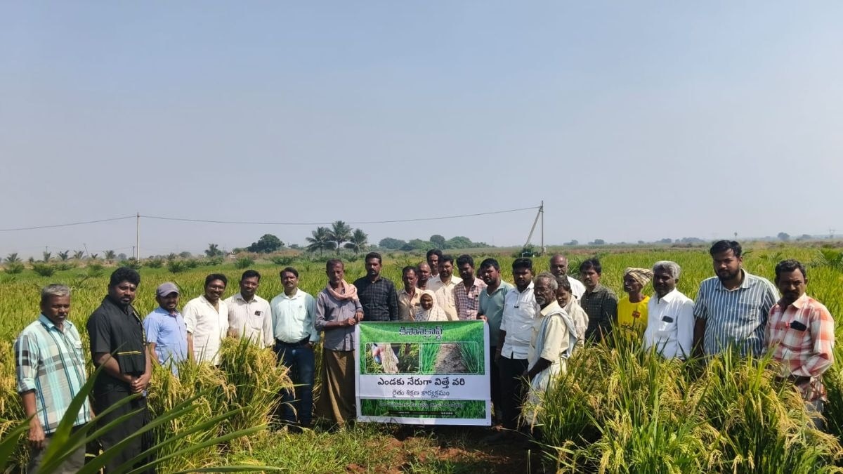 पानी बचाओ, फसल बढ़ाओ