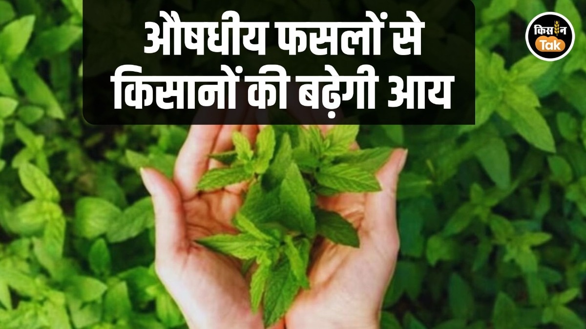 Medicinal Crop Scheme Haryana