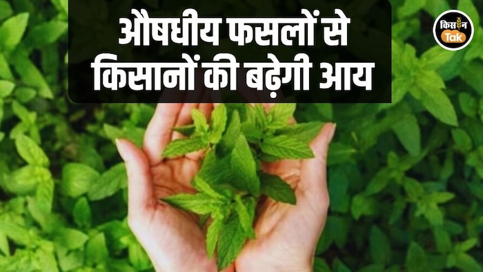 Medicinal Crop Scheme Haryana