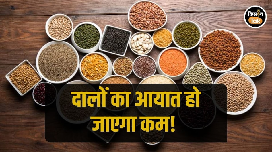 Pulses Import: दालों के आयात में इस बार बड़ी गिरावट की संभावना, जानें इसकी बड़ी वजह Pulses Import: दालों के आयात में इस बार बड़ी गिरावट की संभावना, जानें इसकी बड़ी वजह