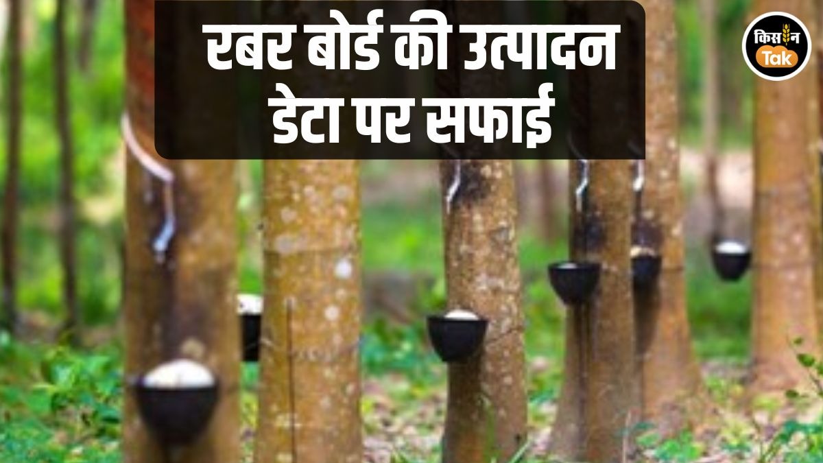 Rubber Board ने टायर इंडस्‍ट्री के आरोप को नकारा, रबर उत्‍पादन के आंकड़ों पर कही ये बात