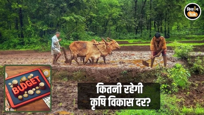 Agriculture Growth India