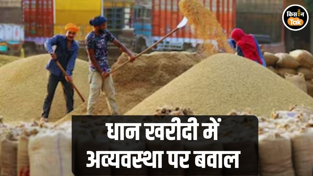 Paddy Procurement: 'ओडिशा बंद' का दिखा मिला-जुला असर, सरकार बोली- फ्लॉप शो, किसान संगठन ने लगाए आरोप
