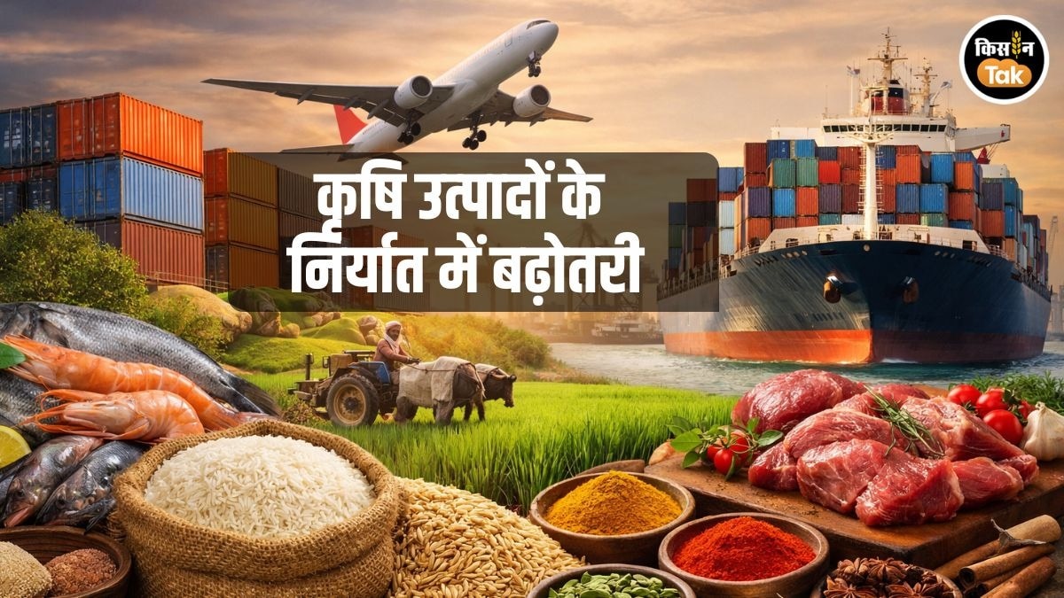 Agri Export