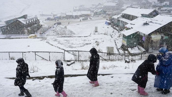 Kashmir Snowfall (Photo/PTI)
