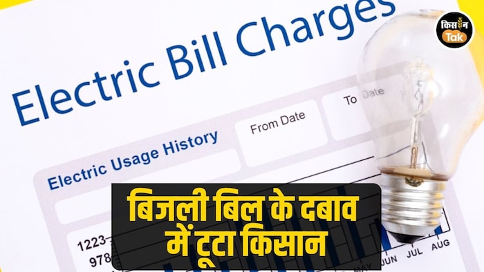 बिजली बिल माफी की आख़िरी अपील