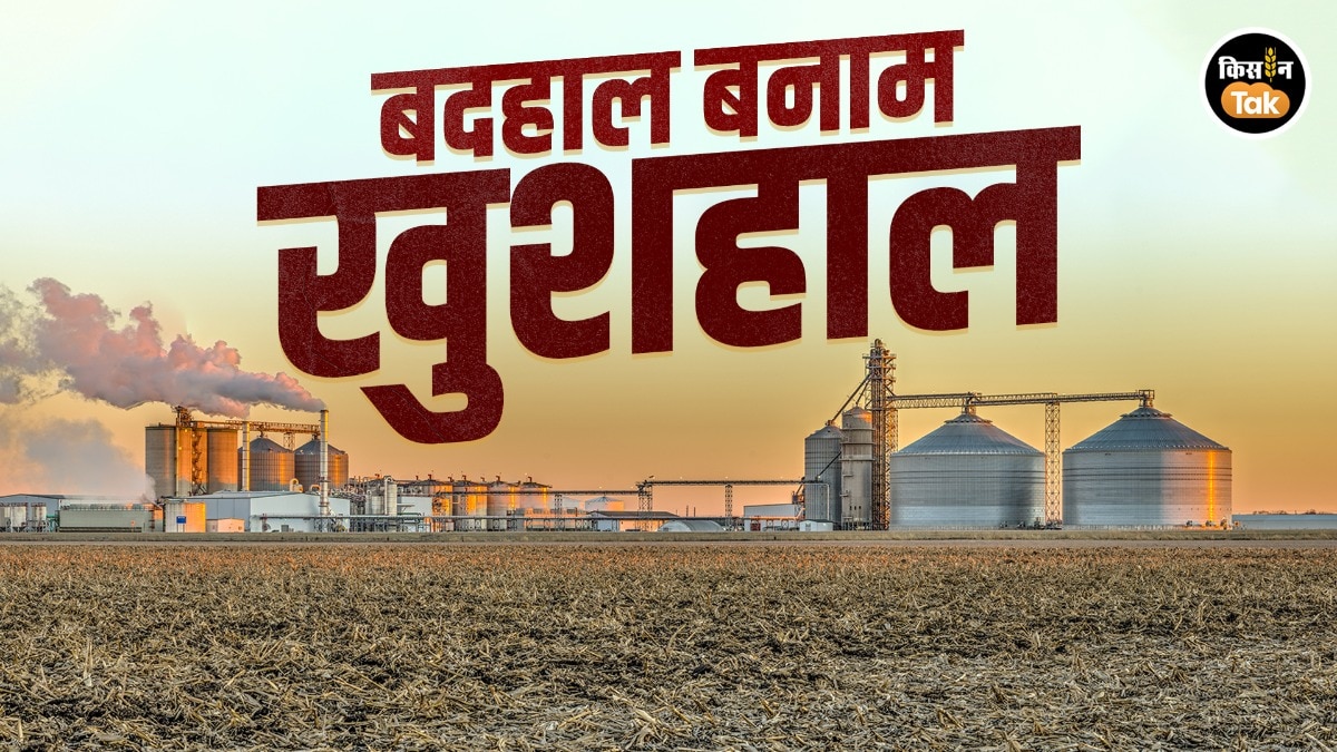 Bihar Maize Farmers Crisis