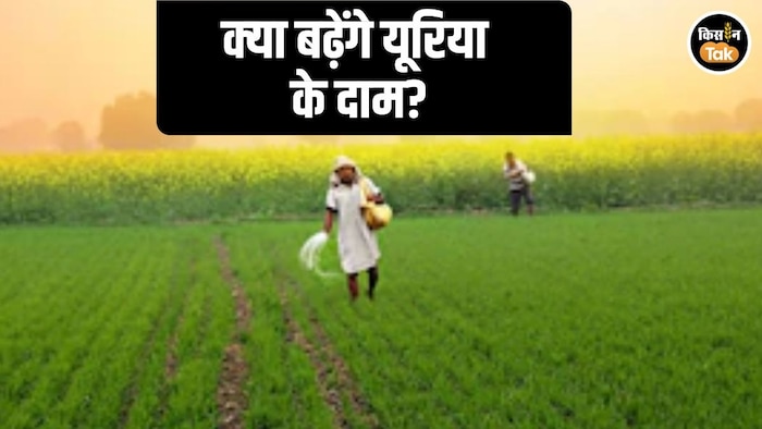 Urea Price Hike and Subidy Pattern Change Suggestion