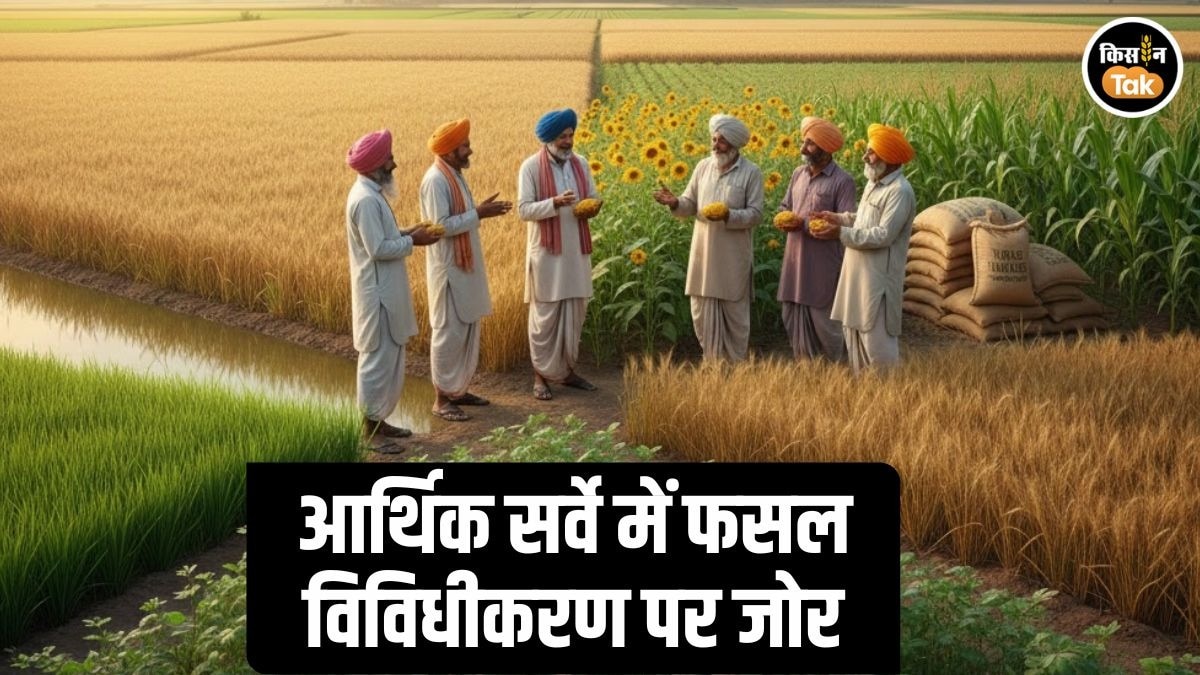 Economic Survey Crop Diversification