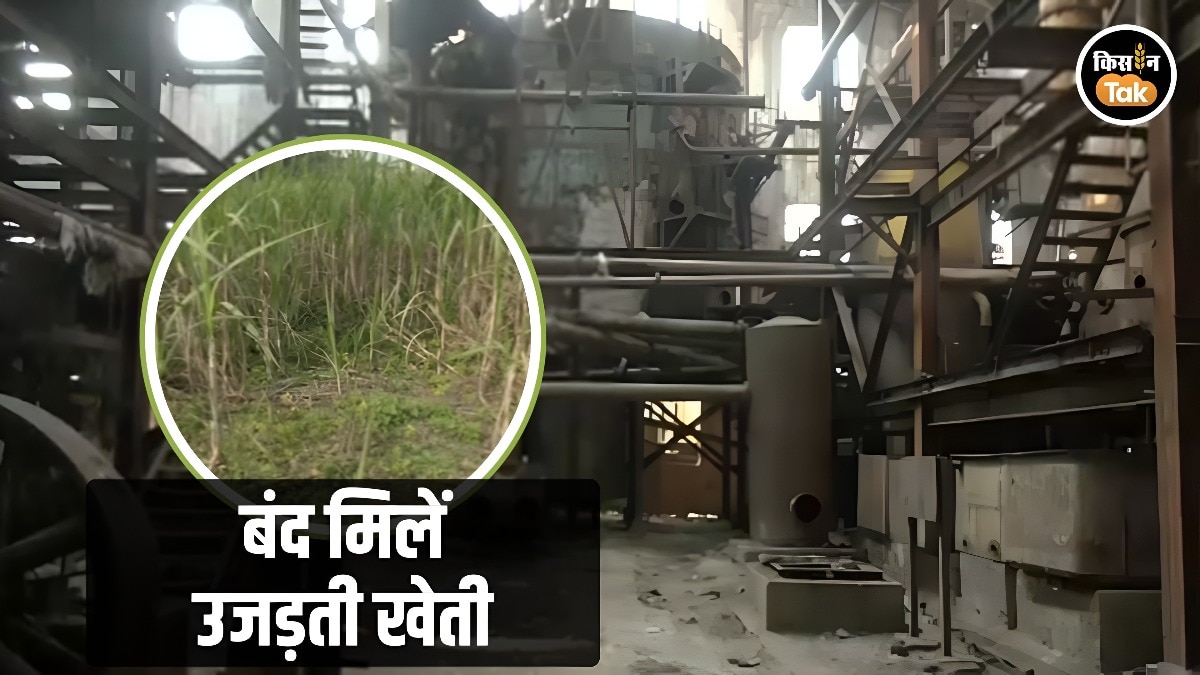 bihar sugar mill