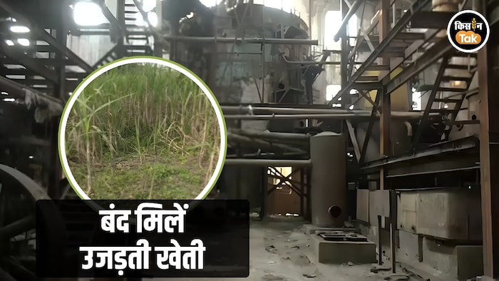 bihar sugar mill