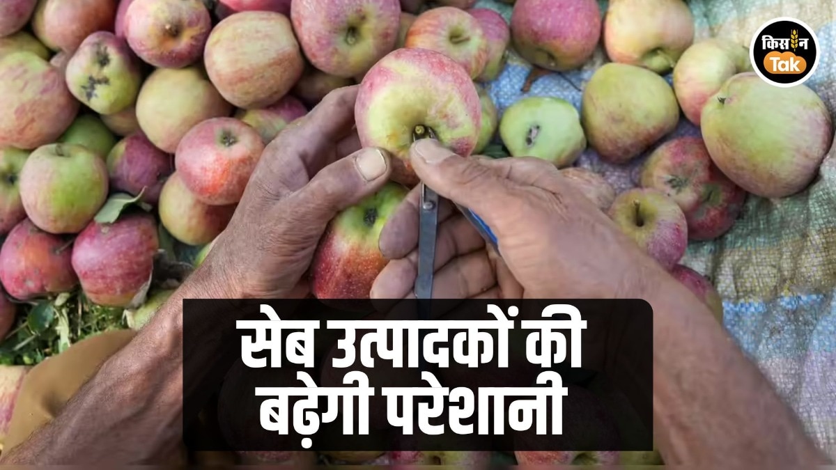 India-EU trade agreement Apple