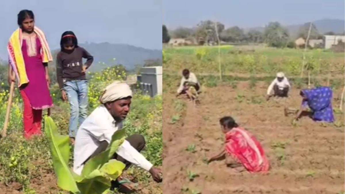 बंजर जमीन को बनाया सोना