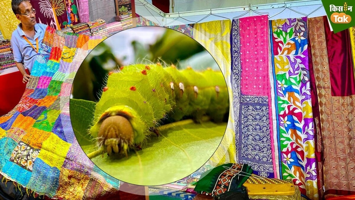  उत्तर प्रदेश के रेशम उद्योग को मिल रही है राष्ट्रीय स्तर पर पहचान