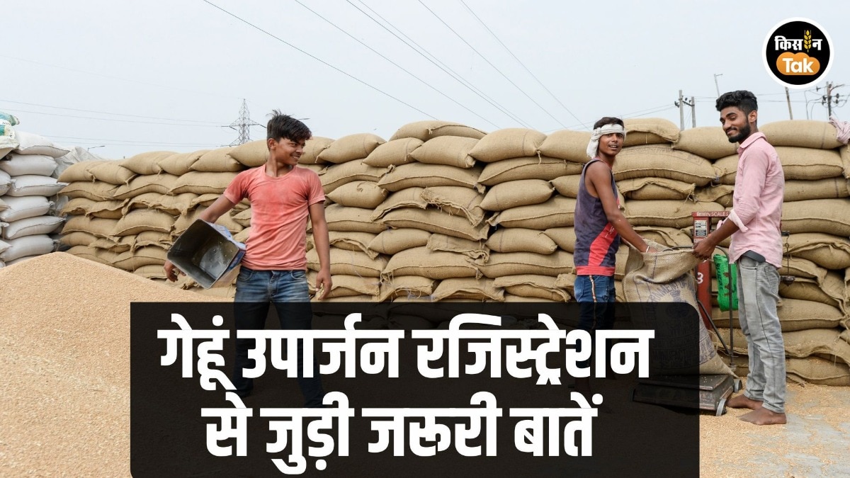 Wheat Procurement Registration MP