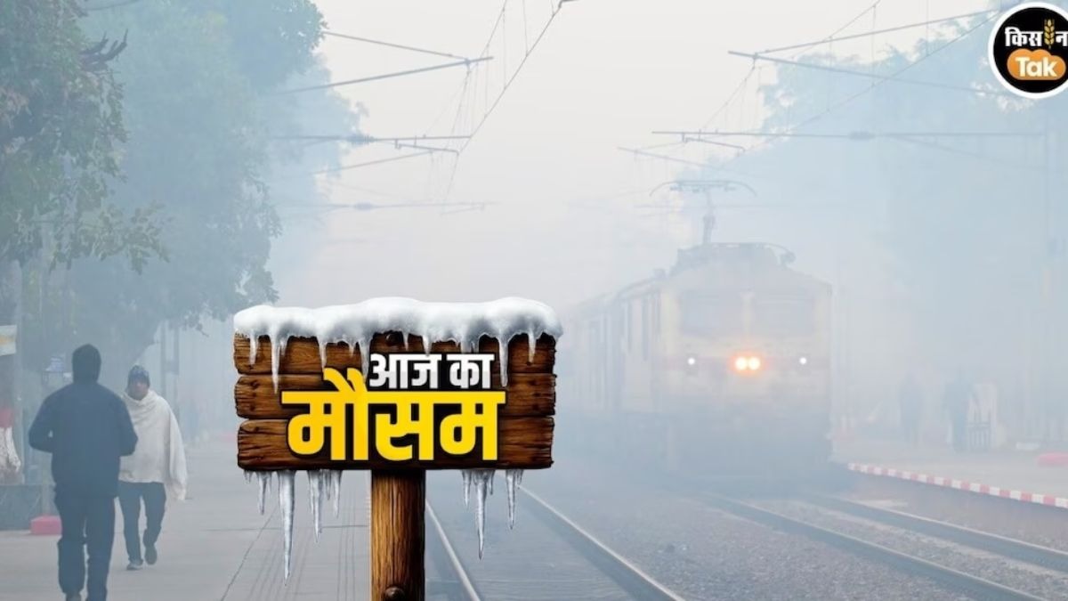 Weather News: फिर एक्टिव हुआ पश्चिमी विक्षोभ, घने कोहरे, बारिश और बर्फबारी का अलर्ट, पढ़ें अपडेट