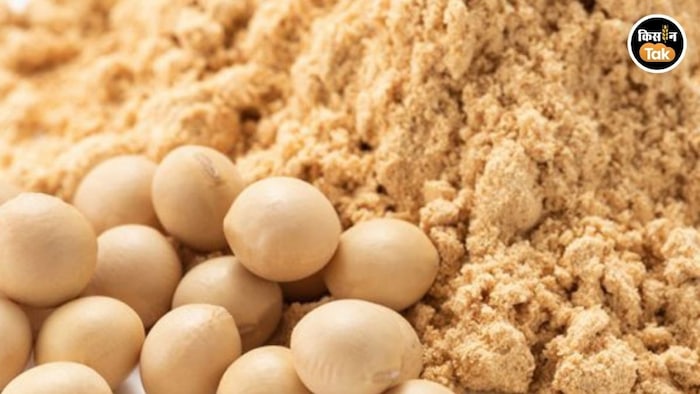 GM Soymeal Import Controversy