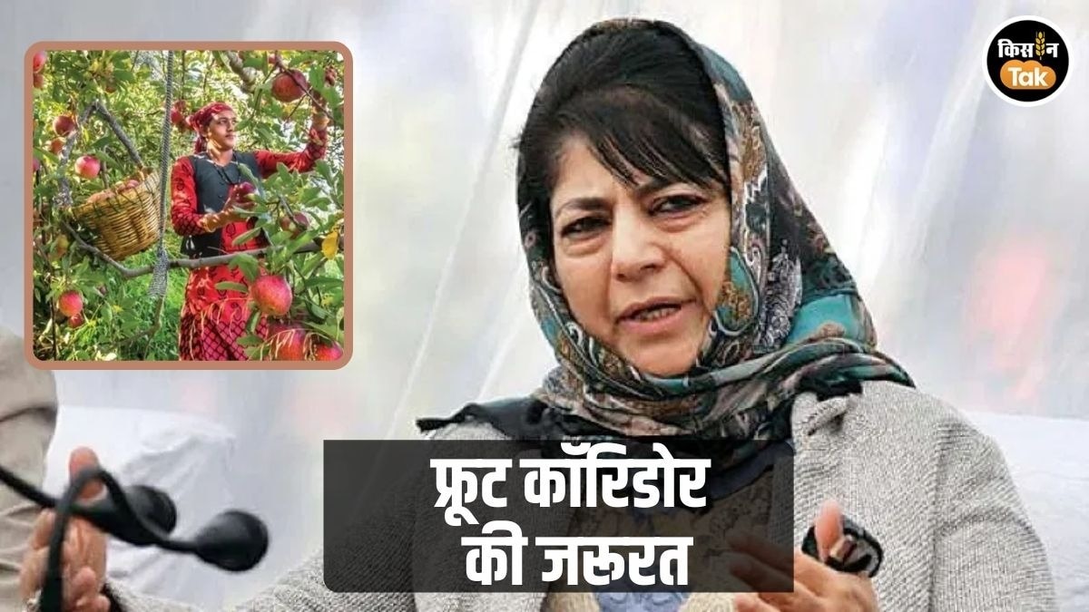 कश्मीर के बागवानों के लिए महबूबा मुफ्ती की बड़ी मांग, सरकार से ‘फ्रूट कॉरिडोर’ बनाने की अपील