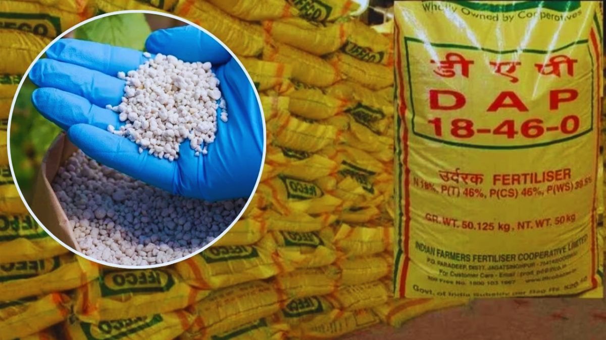 Fertilizer Production: जनवरी 2026 में रिकॉर्ड स्‍तर पर पहुंचा P&K खाद का उत्‍पादन, पढ़ें डिटेल