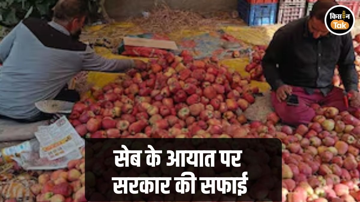 India-US Trade Deal: अमेरिकी सेब पर लगेगा इतना टैरिफ और MIP, भारतीय किसानों से क्‍या बोले पीयूष गाेयल