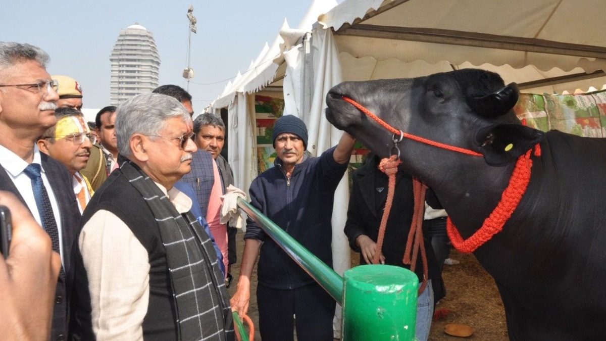 Lalan Singh Kurukshetra Pashumela