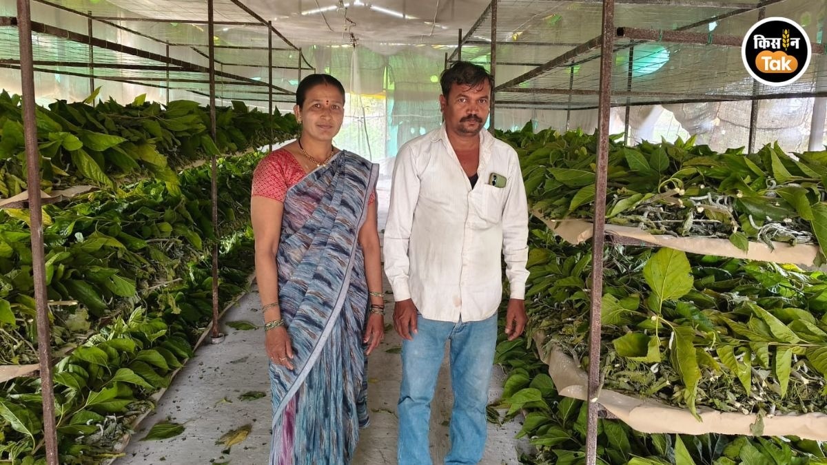 तंगी खत्म, गांव हर किसान  लखपति, एक किसान के 12 गुना कमाई वाले फॉर्मूले ने बदली सबकी किस्मत