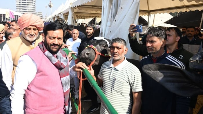 सीएम नायब सिंह सैनी