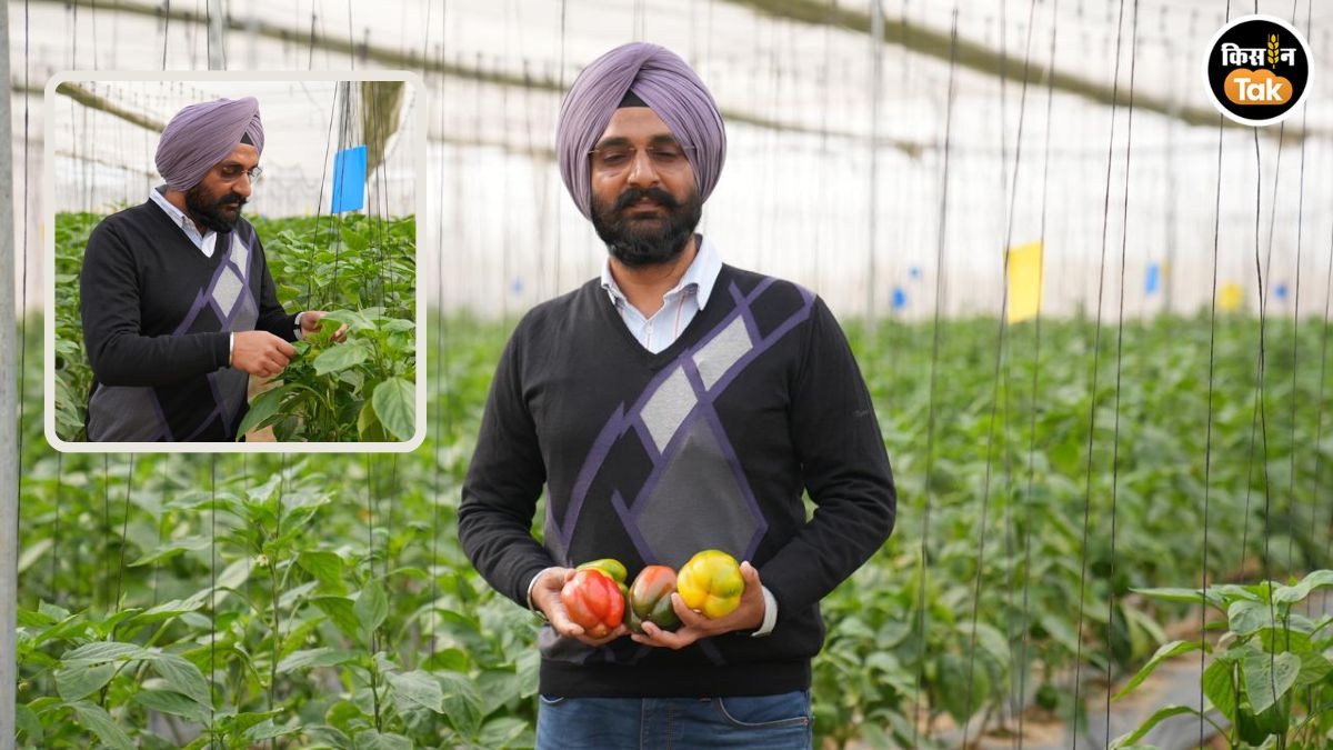 लखनऊ जिले के मोहनलालगंज निवासी किसान देविंदर सिंह