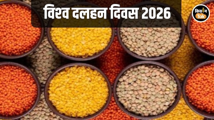 World Pulses Day 2026