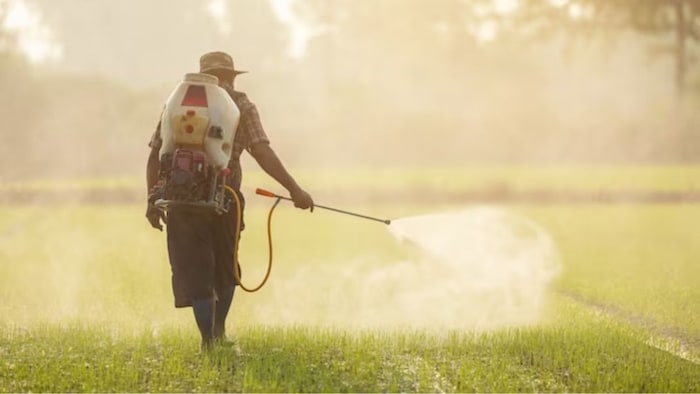 गुजरात बनेगा कृषि रसायन का नया केंद्र