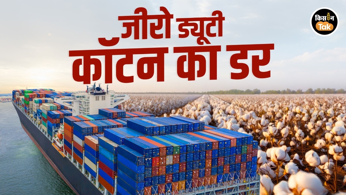 zero duty cotton import