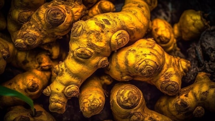 केरल से फिर चमकेगी कोचिन अदरक और अल्लेप्पी हल्दी