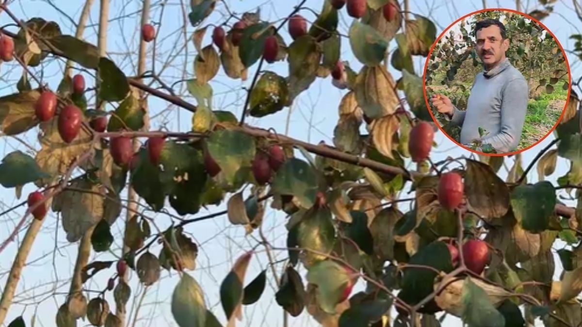 farmer success story