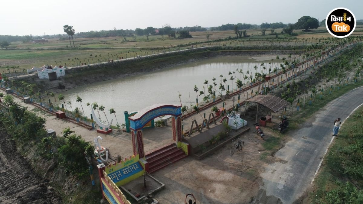 जलवायु परिवर्तन के खिलाफ भी ठोस कदम