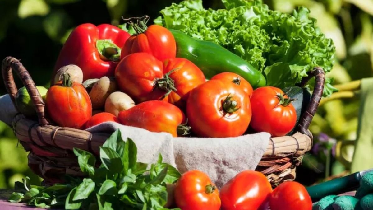 टेरेस गार्डन में लगाएं ये 3 सब्जियां