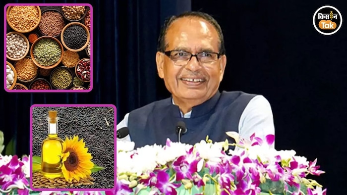 दलहन–तिलहन किसानों के लिए खुशखबरी