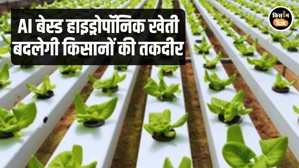 AI Based Hydroponic Farming