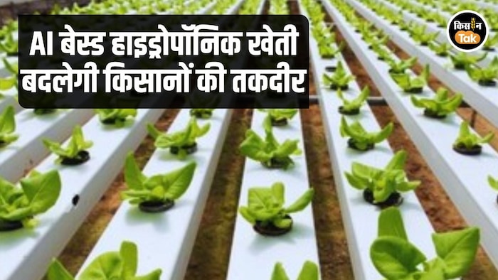 AI Based Hydroponic Farming