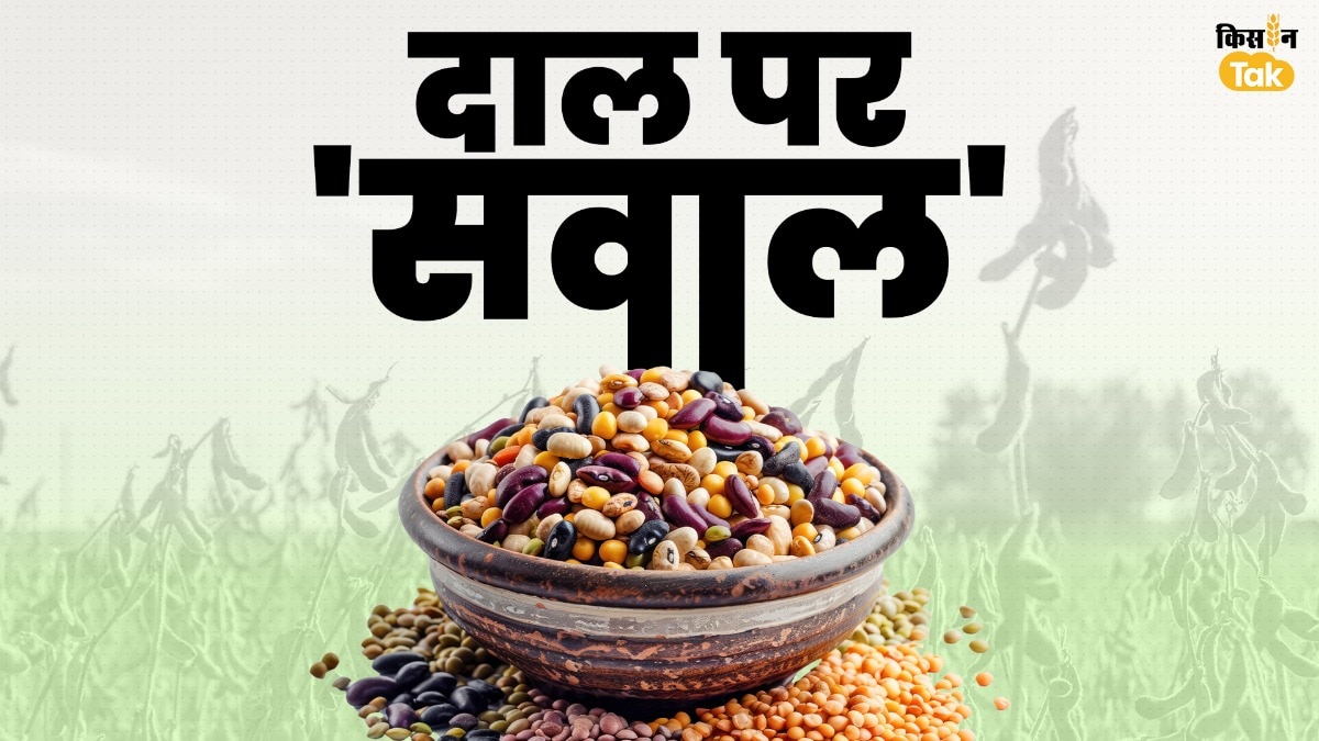 क्यों र‍िकॉर्ड बना रहा दालों का आयात? 