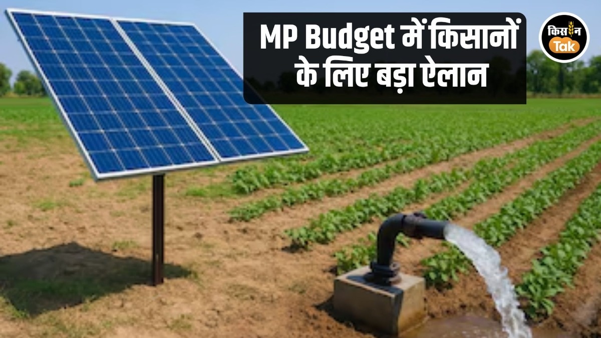 MP Budget Solar Pump Announcement