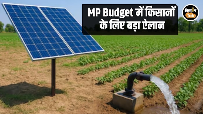 MP Budget Solar Pump Announcement