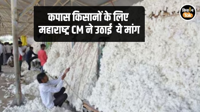 Cotton Procurment Deadline Increase demand Maha CM