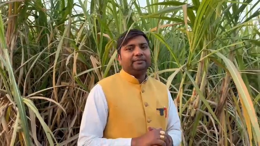 ऑर्गेनिक गन्ने ने बदली किसान की तकदीर, बाजार में मिल रहा चार गुना ज्यादा रेट