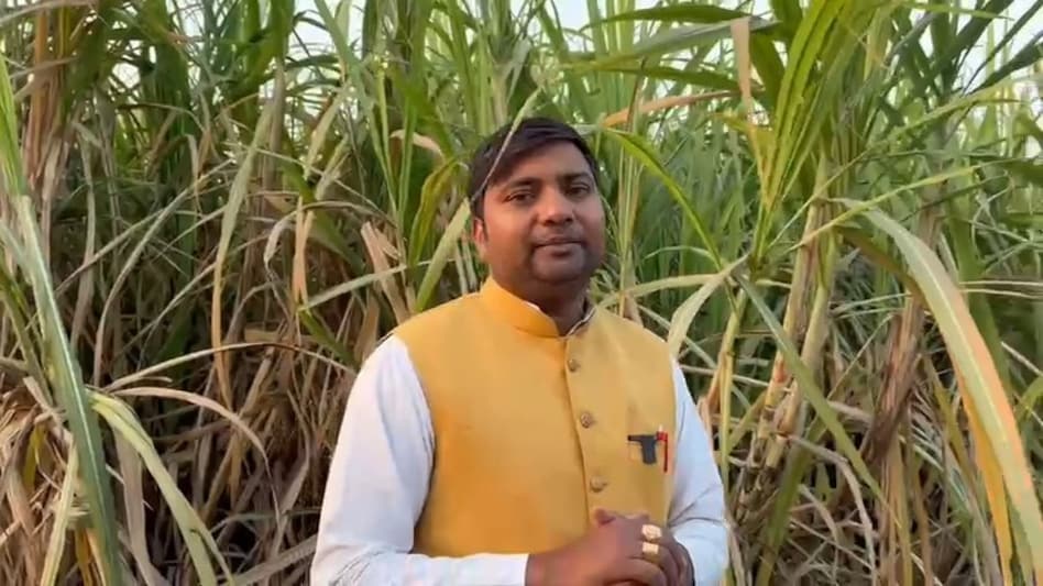 ऑर्गेनिक गन्ने ने बदली किसान की तकदीर, बाजार में मिल रहा चार गुना ज्यादा रेट ऑर्गेनिक गन्ने ने बदली किसान की तकदीर, बाजार में मिल रहा चार गुना ज्यादा रेट