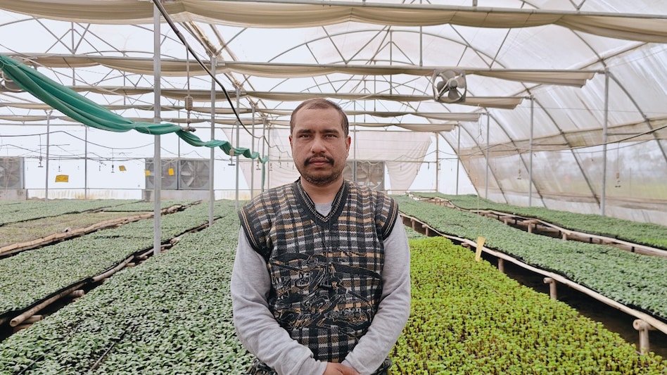 पॉलीहाउस नर्सरी से बदली किसान प्रवीण सैनी की तकदीर, 75 लाख सालाना टर्नओवर, इतना हो रहा मुनाफा पॉलीहाउस नर्सरी से बदली किसान प्रवीण सैनी की तकदीर, 75 लाख सालाना टर्नओवर, इतना हो रहा मुनाफा